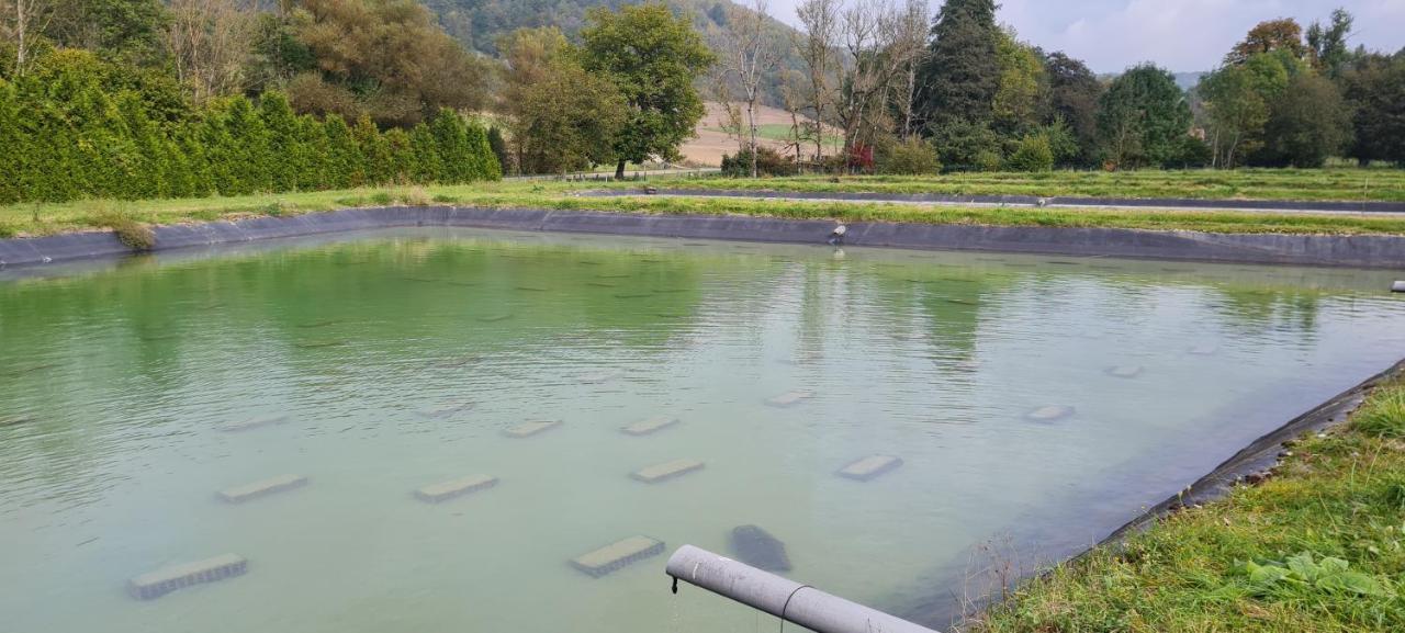 Le Moulin Aux Ecrevisses Bed and Breakfast Thonnance-lès-Joinville Εξωτερικό φωτογραφία