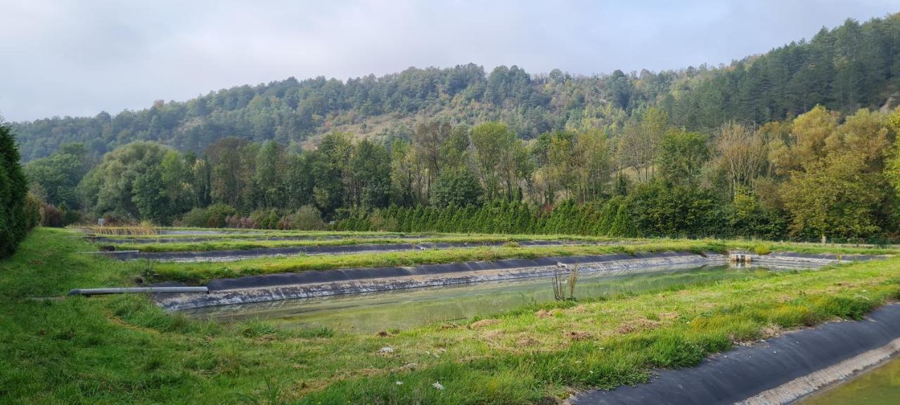 Le Moulin Aux Ecrevisses Bed and Breakfast Thonnance-lès-Joinville Εξωτερικό φωτογραφία