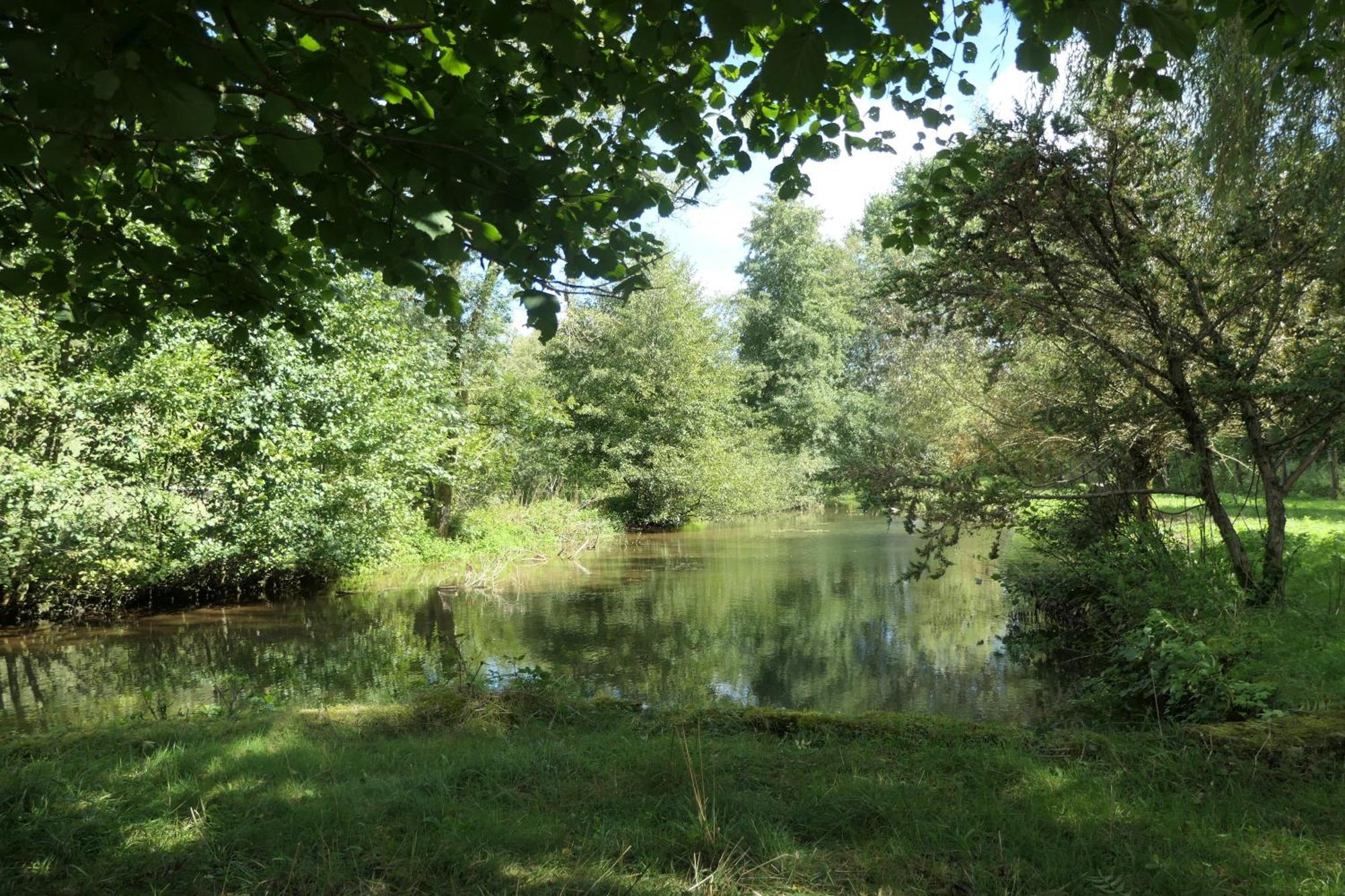 Le Moulin Aux Ecrevisses Bed and Breakfast Thonnance-lès-Joinville Εξωτερικό φωτογραφία